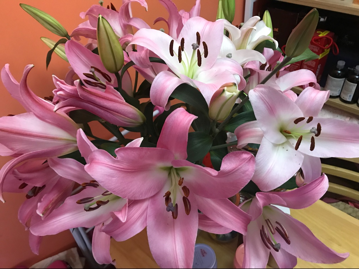 【柬埔寨驻广州总领事馆住宿】柬埔寨驻广州总