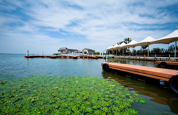 昆山巴城镇学院路188号酒店式公寓介绍:昆山阳澄湖晋川普通大床房简介