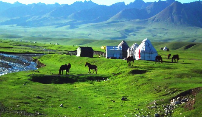 伊犁住宿 新源县住宿 那拉提空中草原度假酒店标准间  房屋编号