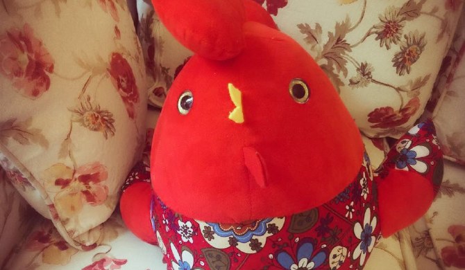 【图】生态清新小筑_滨海新区短租公寓