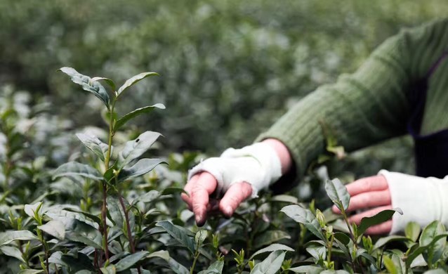 【图】灵隐寺周边地中海风情独栋小别墅_西湖