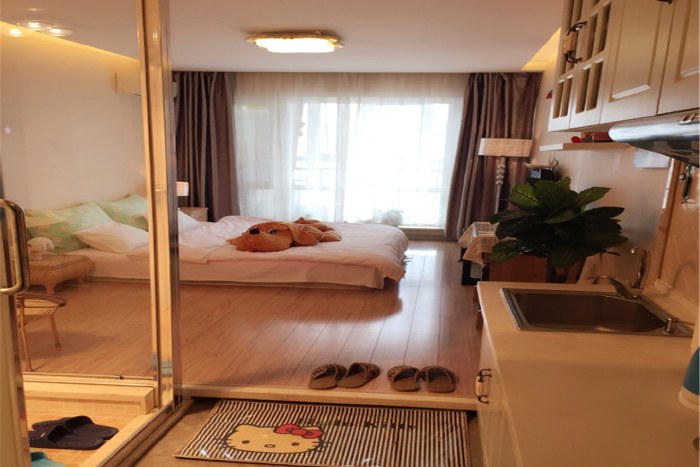 丹东民宿式公寓图片