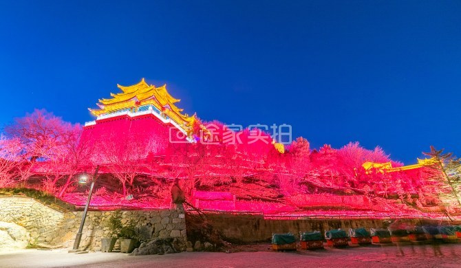 独克宗古城月光广场2分钟温馨家庭房