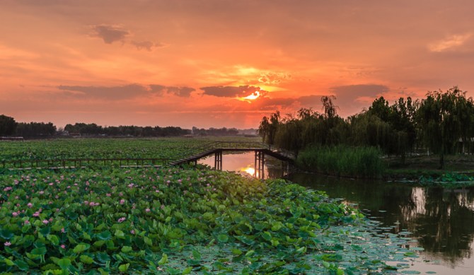 白洋淀途家美芦庄园典雅三卧园景温泉别墅